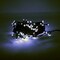 Perfect Holiday 100 LED Green Wire String Light With Waterproof Connector